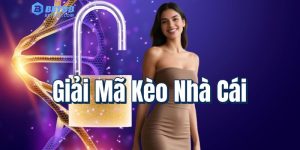 Giải Mã Kèo Nhà Cái – Bí Kíp Đọc Tỷ Lệ Chuẩn